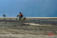 Sony A6000 | Sony 28-70mm | 1/500 | f8 | ISO 100 | Single Exposure